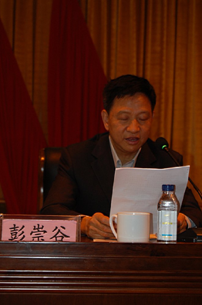 彭崇谷在2015湖南省創新企業文化發展大會上的報告