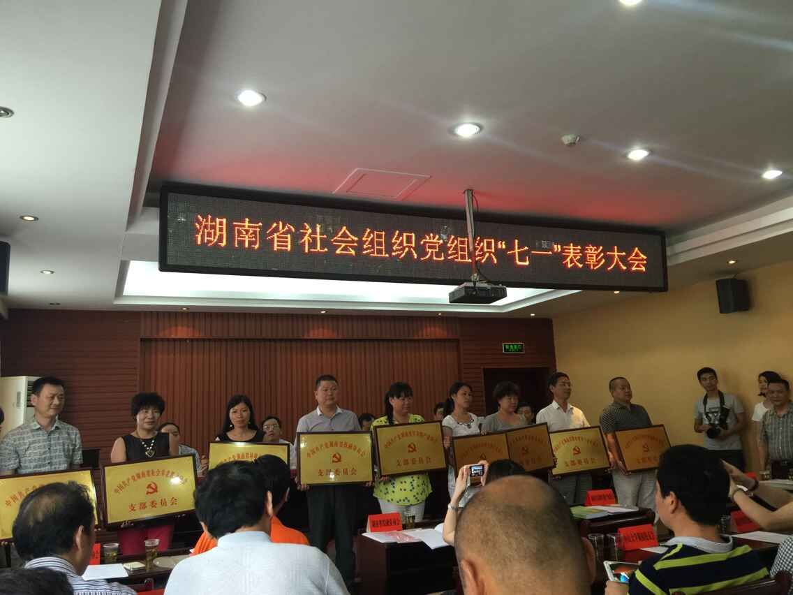 湖南省企業文化促進會榮獲省級社會組織“先進黨組織”榮譽